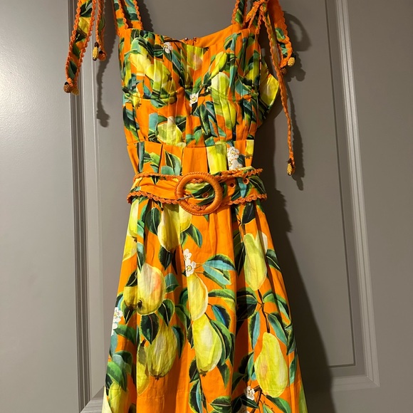 Farm Rio Gorgeous color pear dress - Picture 4 of 5